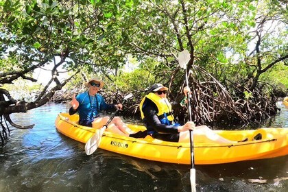 Noosa Heads: Hidden Waterways & Wildlife Kayak Tour