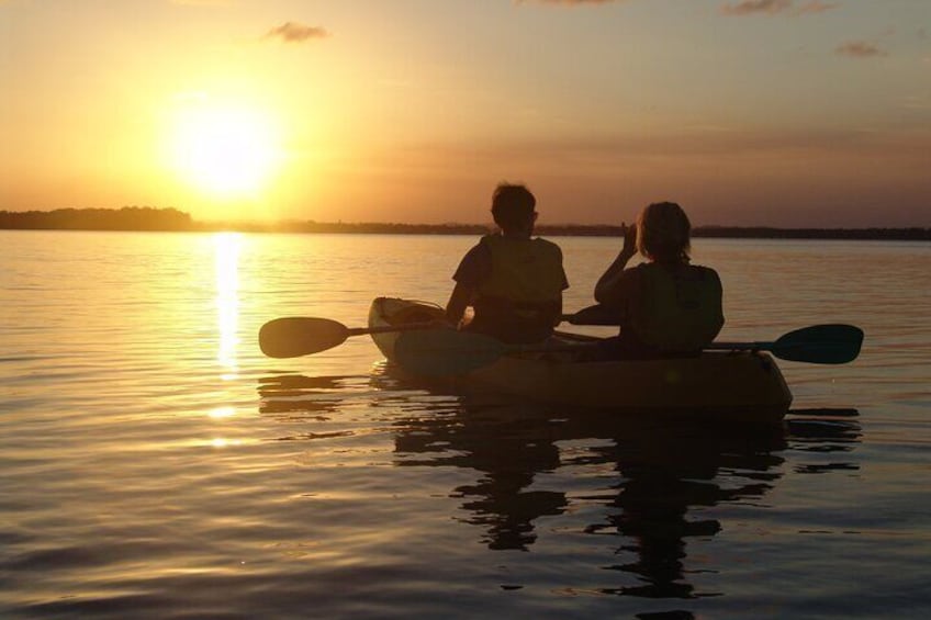 Noosa Heads Kayaking Activity and Wildlife Experience