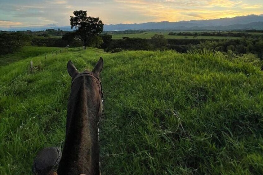 Private Cocoa Tour and Horseback Riding in Pereira