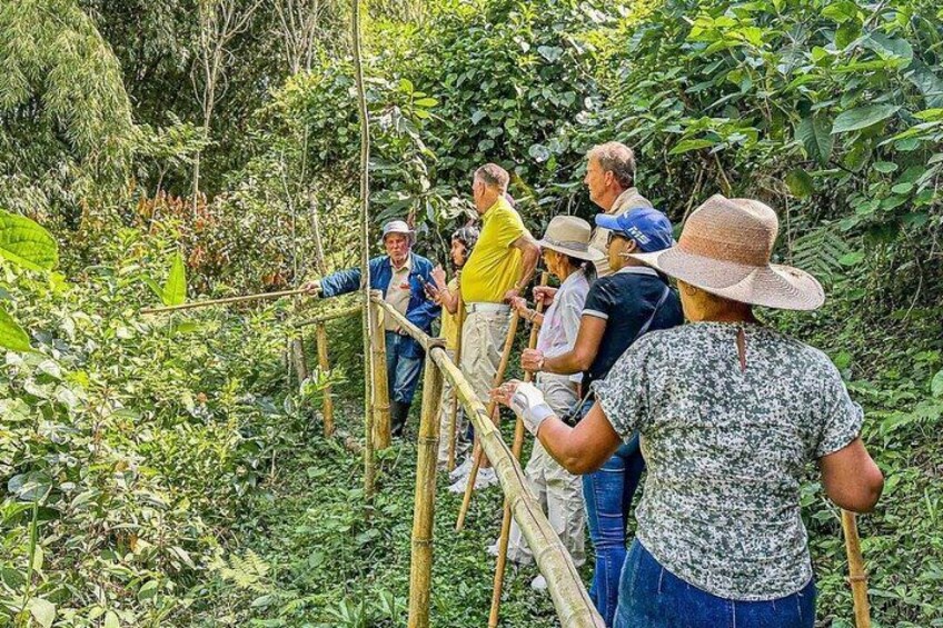 Private Cocoa Tour and Horseback Riding in Pereira