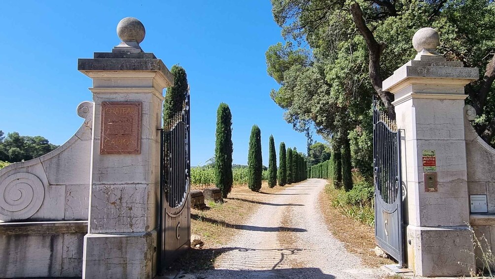 Picture 6 for Activity Aniane: Château Capion Wine Tasting Experience