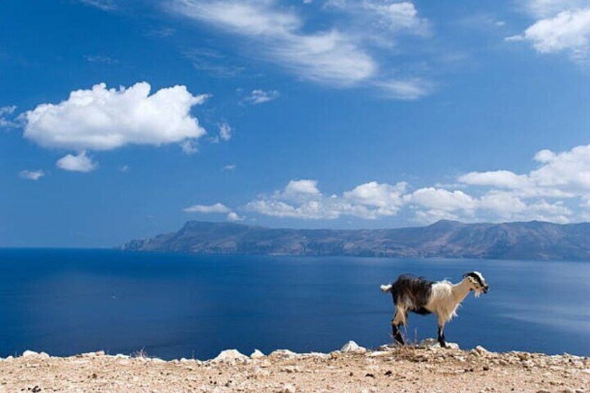 Spinalonga, Hidden Wonders, Agios Nikolaos & Olive Mill | Private