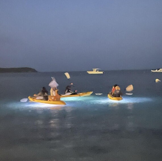 Night Kayaking from Elysian Beach Resort