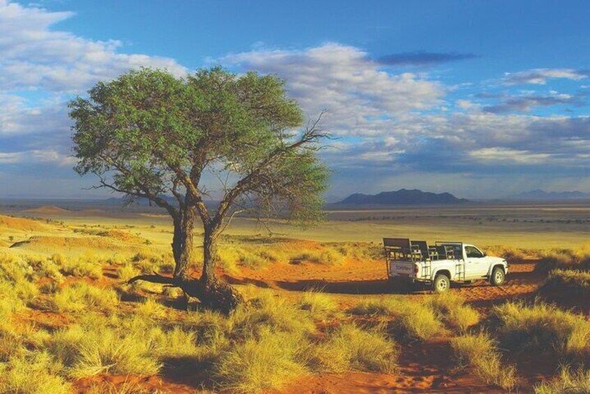 Namib Desert Safari