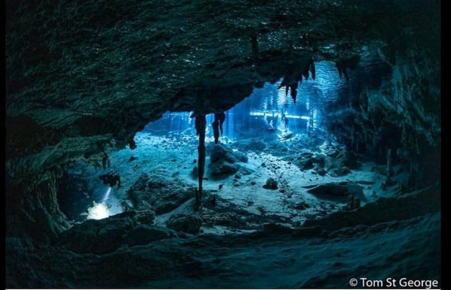From Cancun: Dos Ojos Cenote Diving Experience