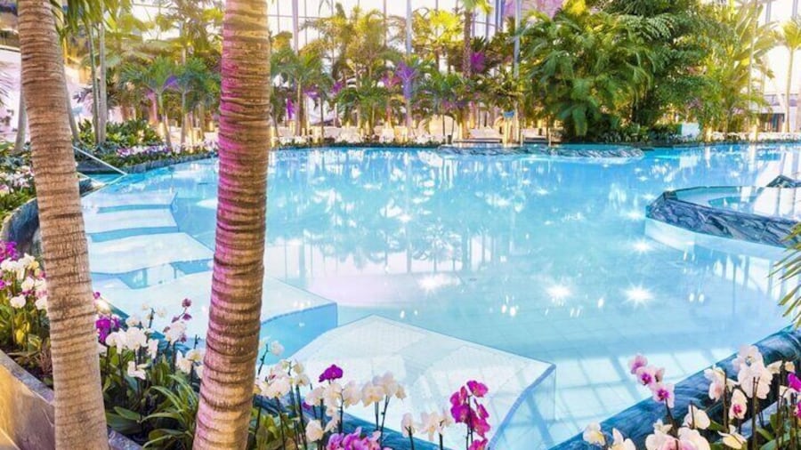 Therme: Spa day at the Largest Relaxation Oasis in Bucharest