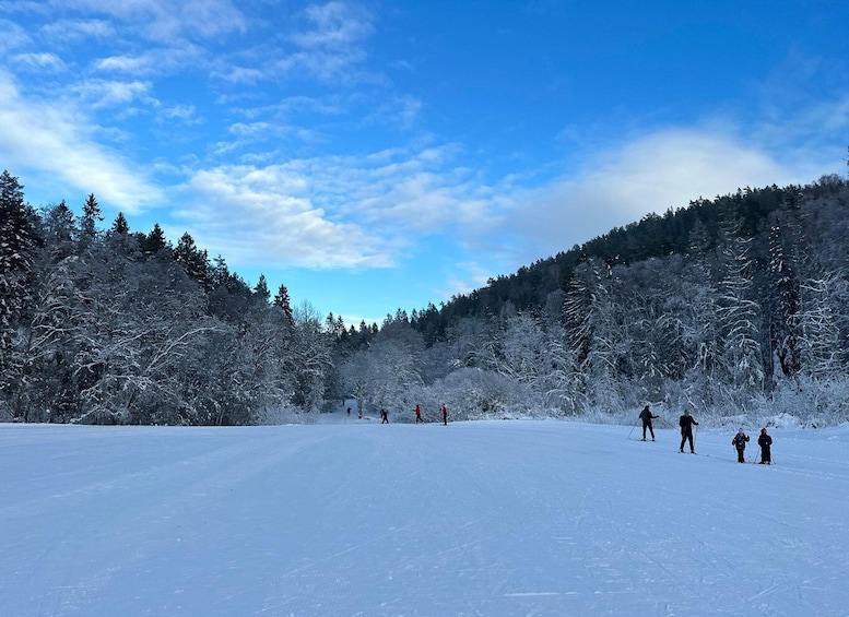 Picture 2 for Activity Oslo: The Norwegian Skiing Experience