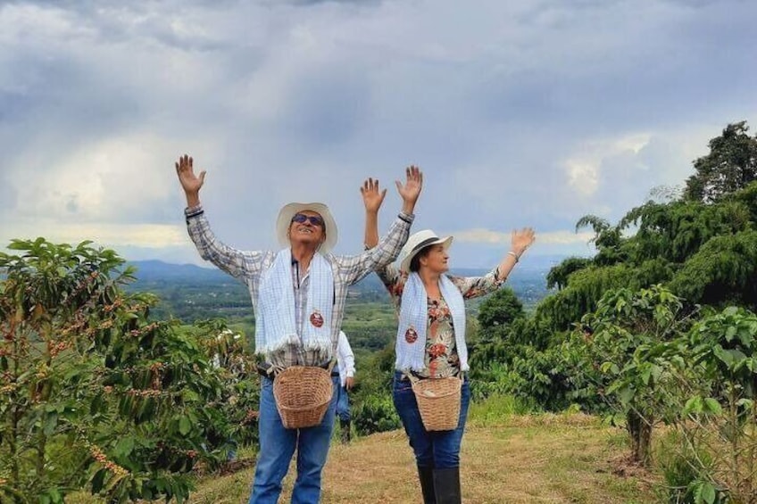 Coffee Tour and Horseback Riding in Pereira