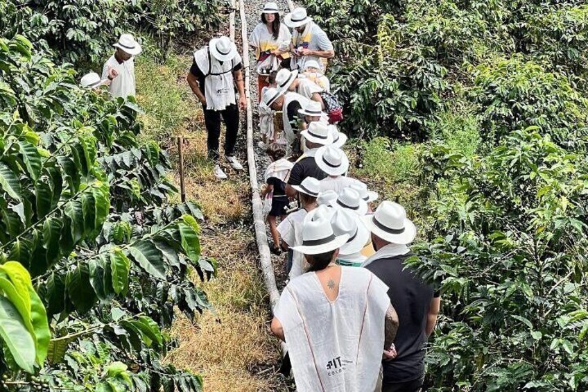 Coffee Tour and Horseback Riding in Pereira