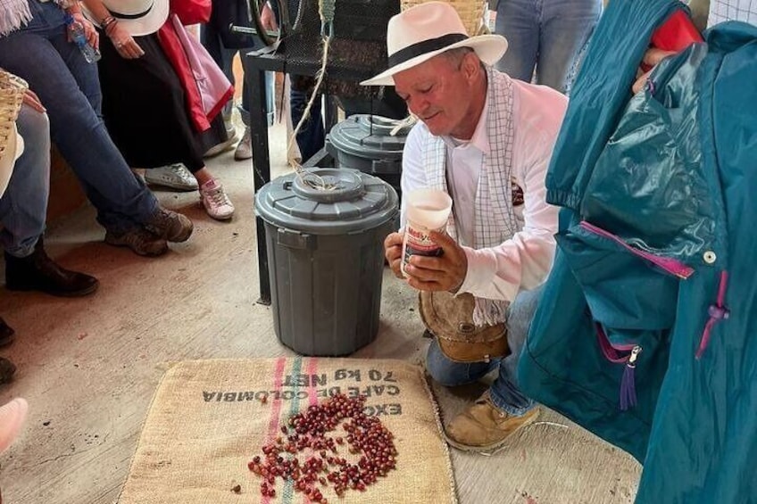 Coffee Tour and Horseback Riding in Pereira