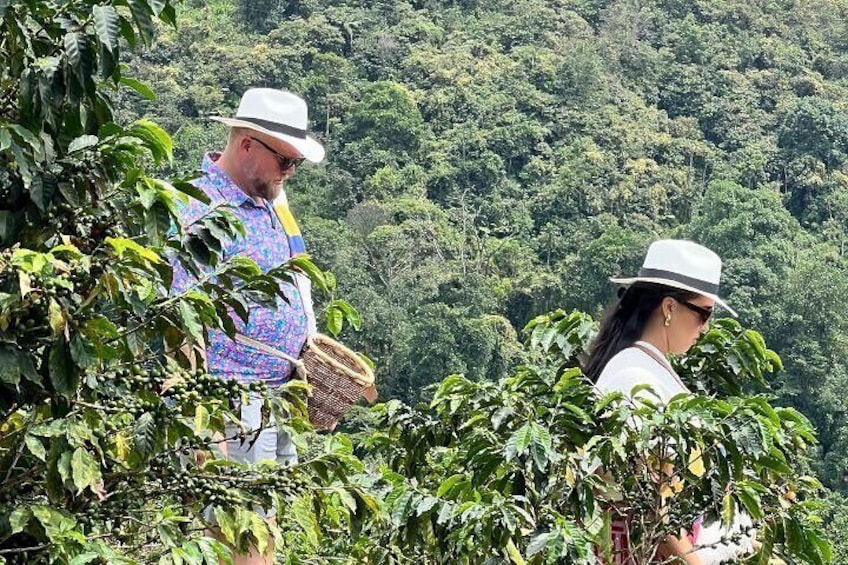 Coffee Tour and Horseback Riding in Pereira