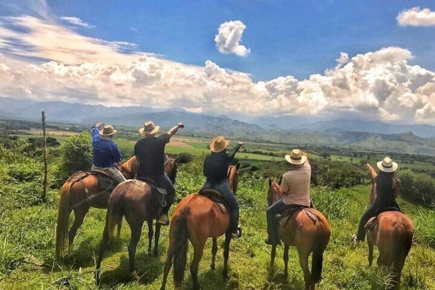 Coffee Tour and Horseback Riding in Pereira