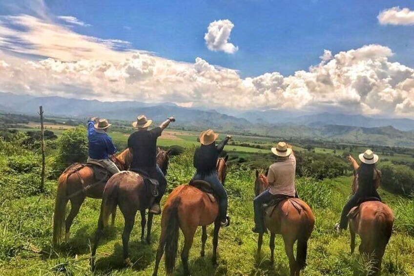 Coffee Tour and Horseback Riding in Pereira