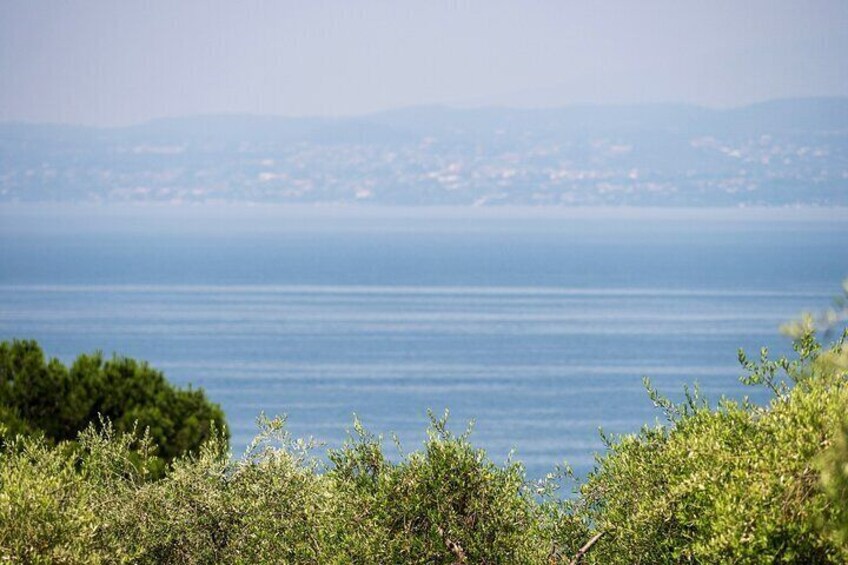 Full Day Self-Guided Lake Garda E-bike Tour from Verona