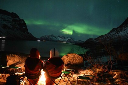 From Leknes/Svolvaer: Northern Lights Private Campfire