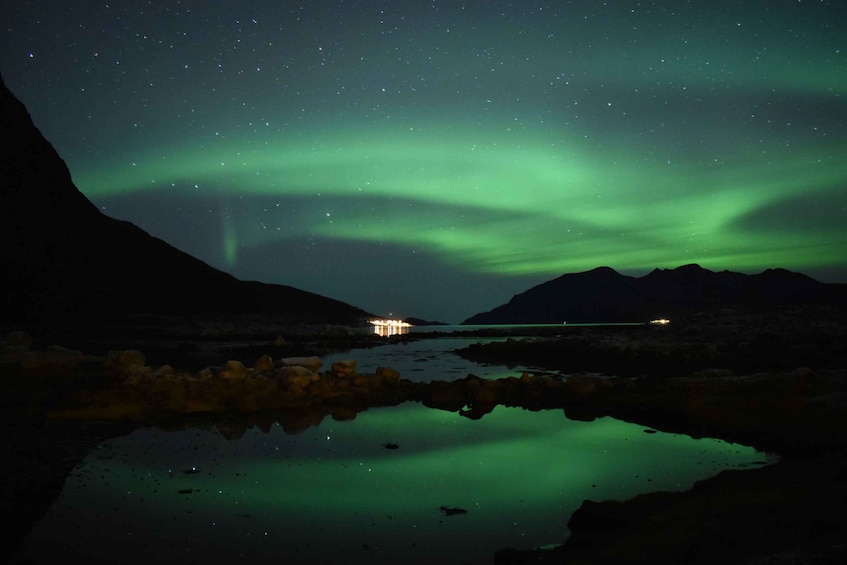 Picture 4 for Activity From Leknes/Svolvaer: Northern Lights Private Campfire