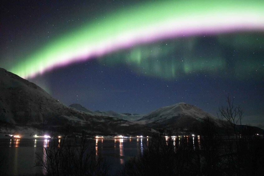 Picture 3 for Activity From Leknes/Svolvaer: Northern Lights Private Campfire