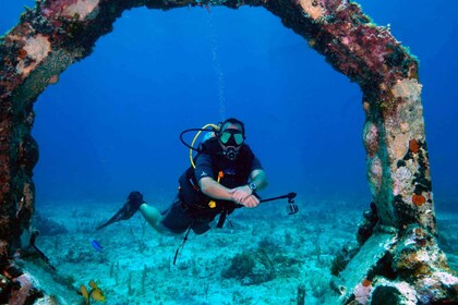 Underwater Museum : Discover Scuba Diving Experience