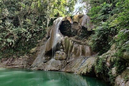 8 Hours Private Tours in Puerto Rico