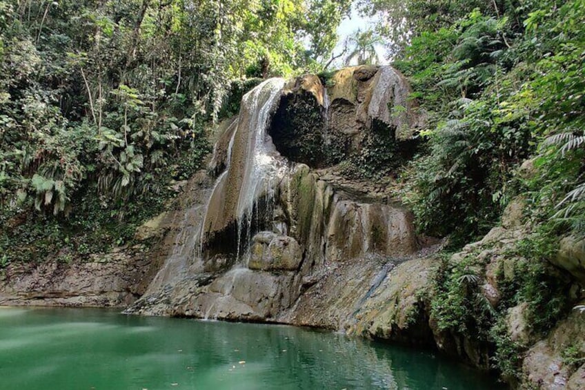 8 Hours Private Tours in Puerto Rico