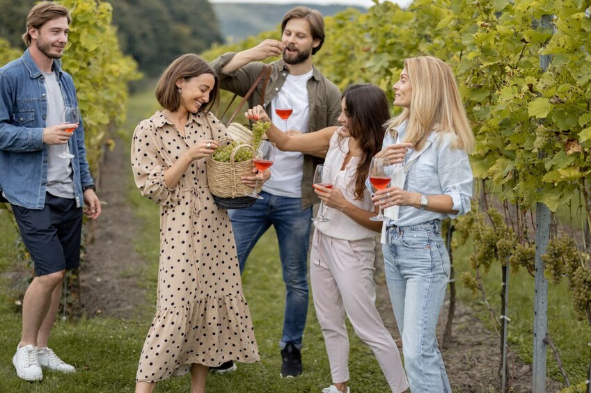 Day Trip to Mendoza Wine Paradise with Airfare from Buenos Aires