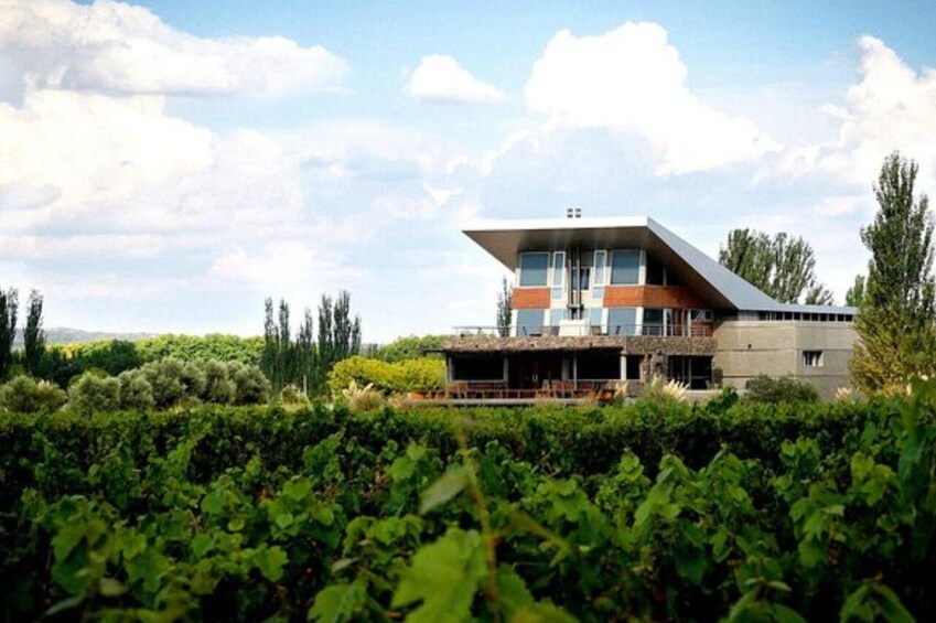 Day Trip to Mendoza Wine Paradise with Airfare from Buenos Aires