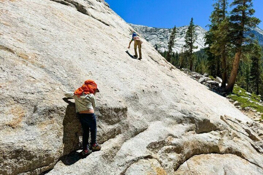 Wonders of Yosemite Customizable Private Tour