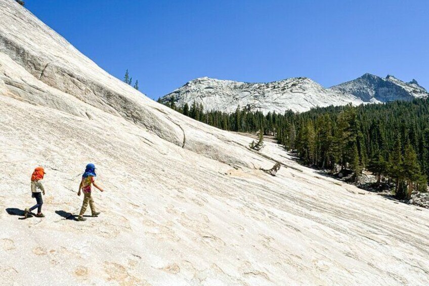 Wonders of Yosemite Customizable Private Tour