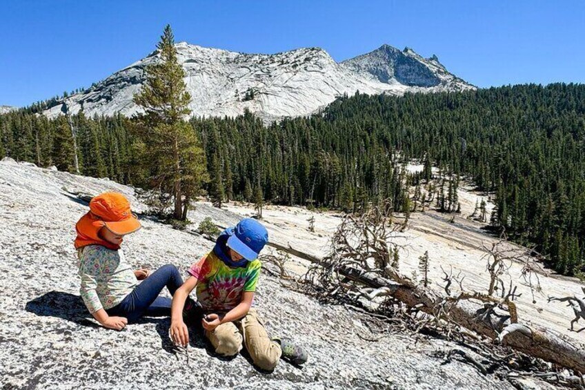 Wonders of Yosemite Customizable Private Tour