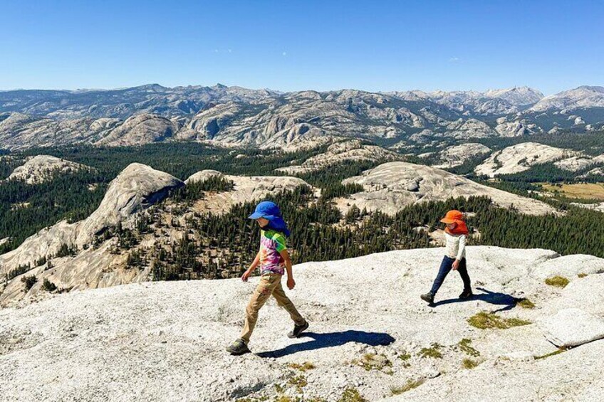 Wonders of Yosemite Customizable Private Tour