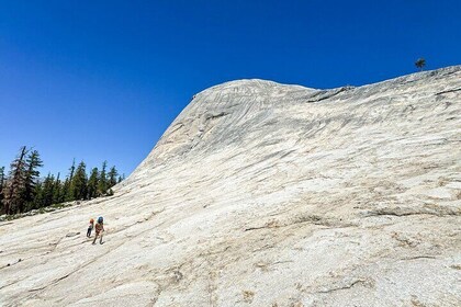 Wonders of Yosemite: Kid Friendly Private Tour