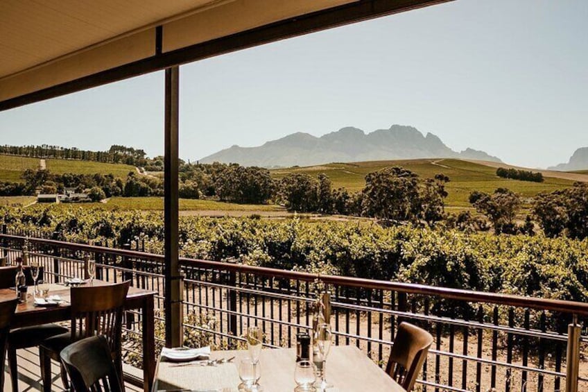 Private Full Day Winelands Tour 