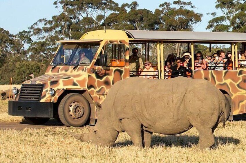 Werribee Zoo & Werribee Mansion Tour