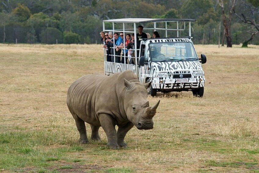 Werribee Zoo & Werribee Mansion Tour