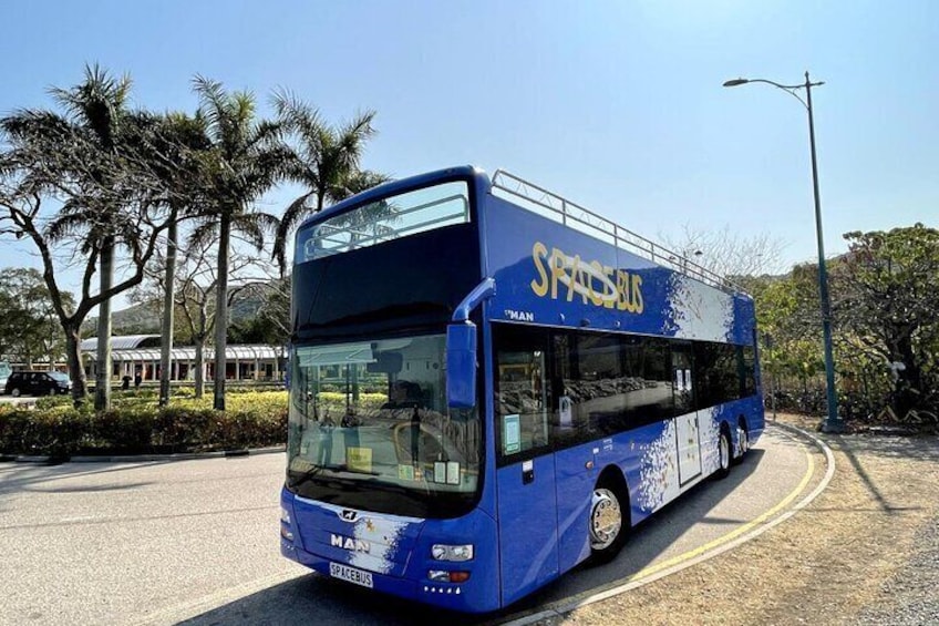 Open Top Bus