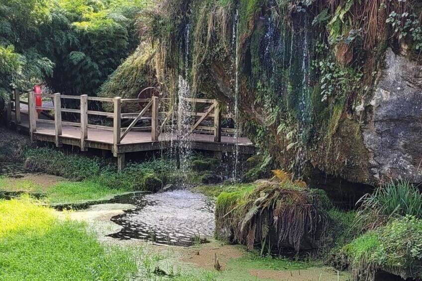 Private Taxi Tour of Blarney Castle ,Cork City and Kinsale .