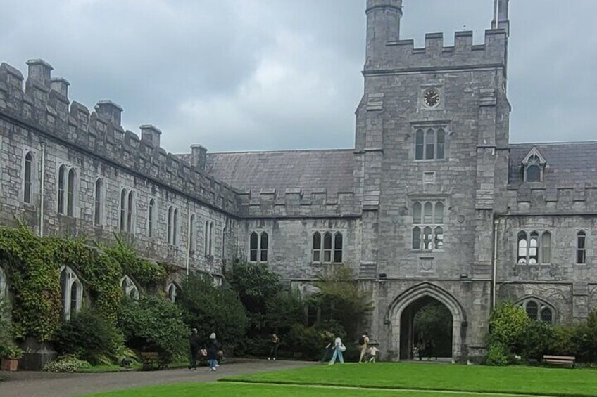 Private Taxi Tour of Blarney Castle ,Cork City and Kinsale .