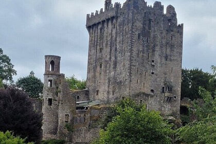 Private Taxi Tour of Blarney Castle ,Cork City and Kinsale .