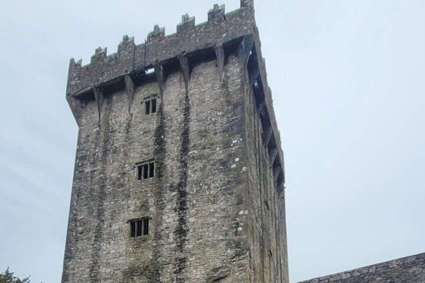 Private Taxi Tour of Blarney Castle ,Cork City and Kinsale .