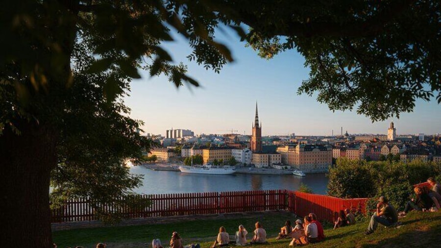 Stockholm Discovery Quest with The Best Viewpoints