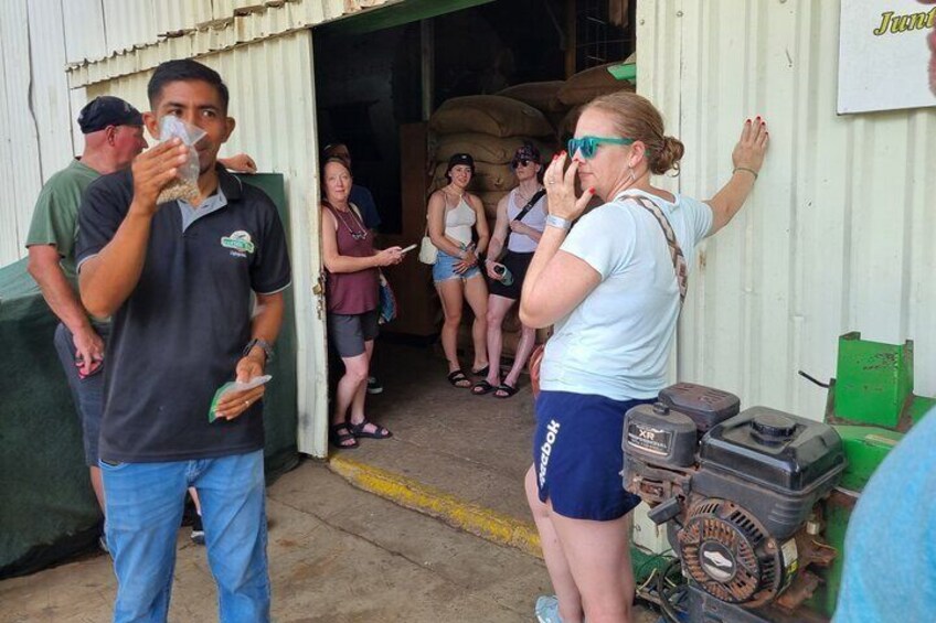 Coffe Tour and Chorotega Cultural Experience on the Blue zone 