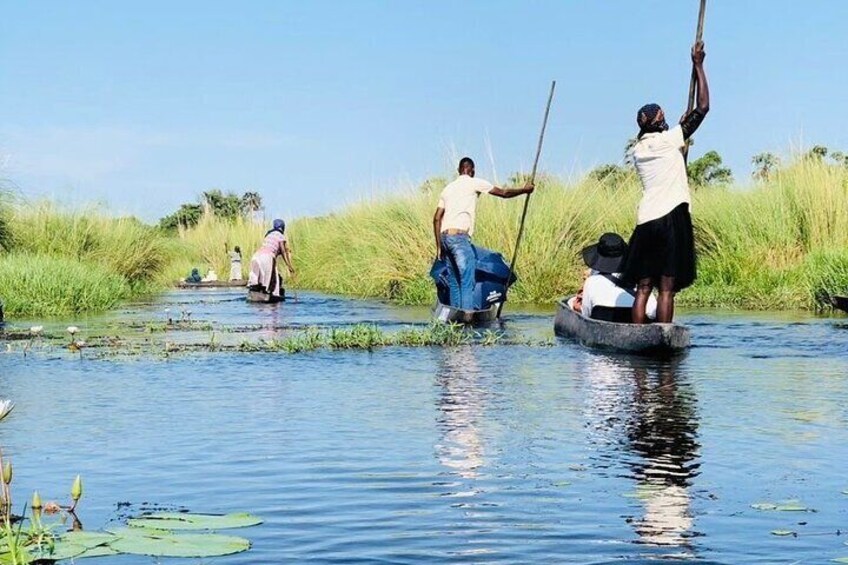 Full-Day Mokoro Experience in the Okavango Delta