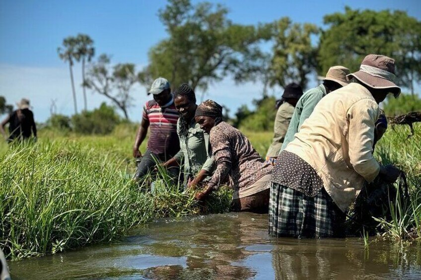 Full-Day Mokoro Experience in the Okavango Delta