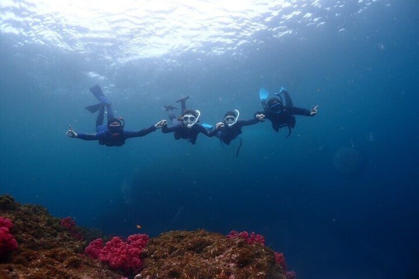 Private Snorkeling in Izu Shizuoka