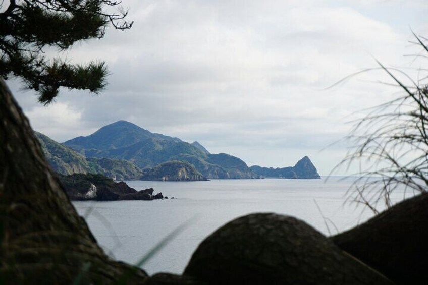 Private Snorkeling in Izu Shizuoka