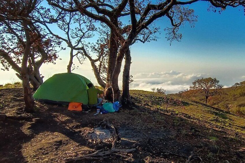 Camp site