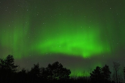 Rovaniemi Northern Lights – The Real Guaranteed Hunt