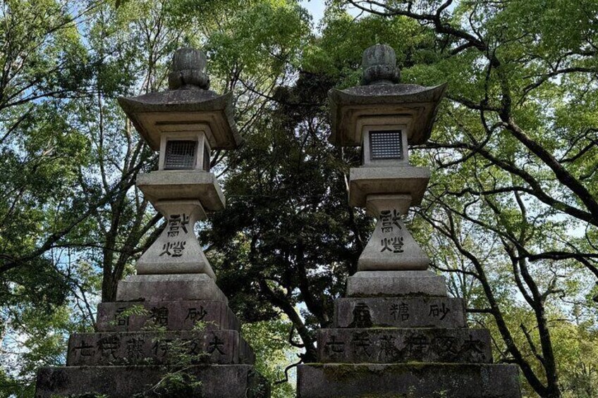  Exploring the Highlights of Nara in 3 Hours Guided Tour 