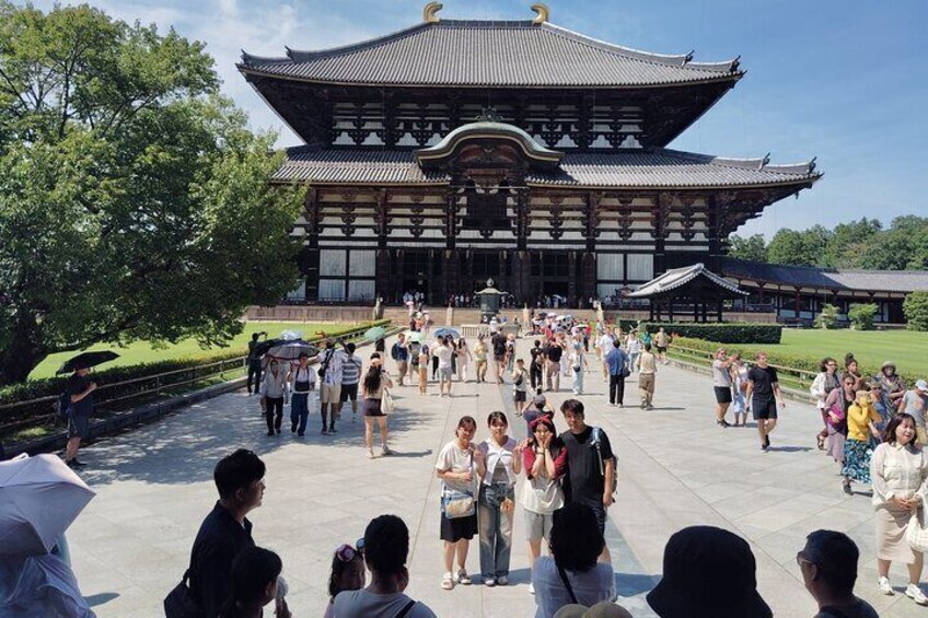  Exploring the Highlights of Nara in 3 Hours Guided Tour 