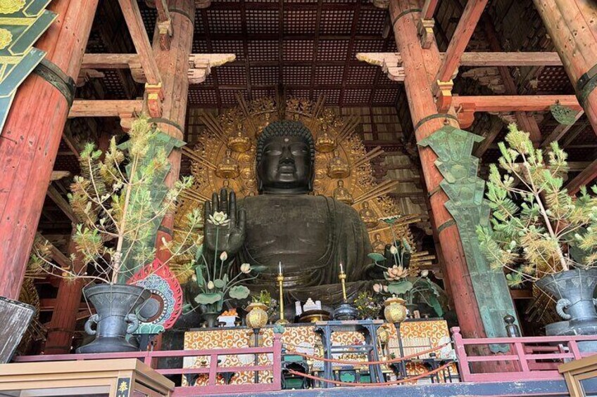  Exploring the Highlights of Nara in 3 Hours Guided Tour 